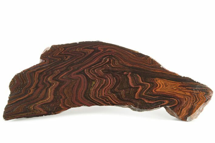 Polished Tiger Iron Stromatolite Section - Ga #234606